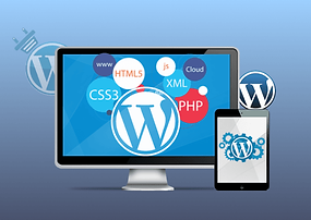Website Development course screenshot